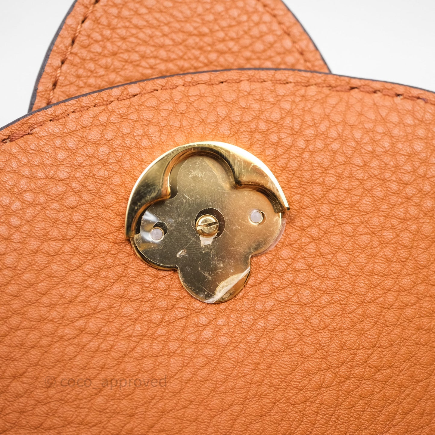Louis Vuitton Pont 9 Soft PM Brown Grained Calfskin Gold Hardware