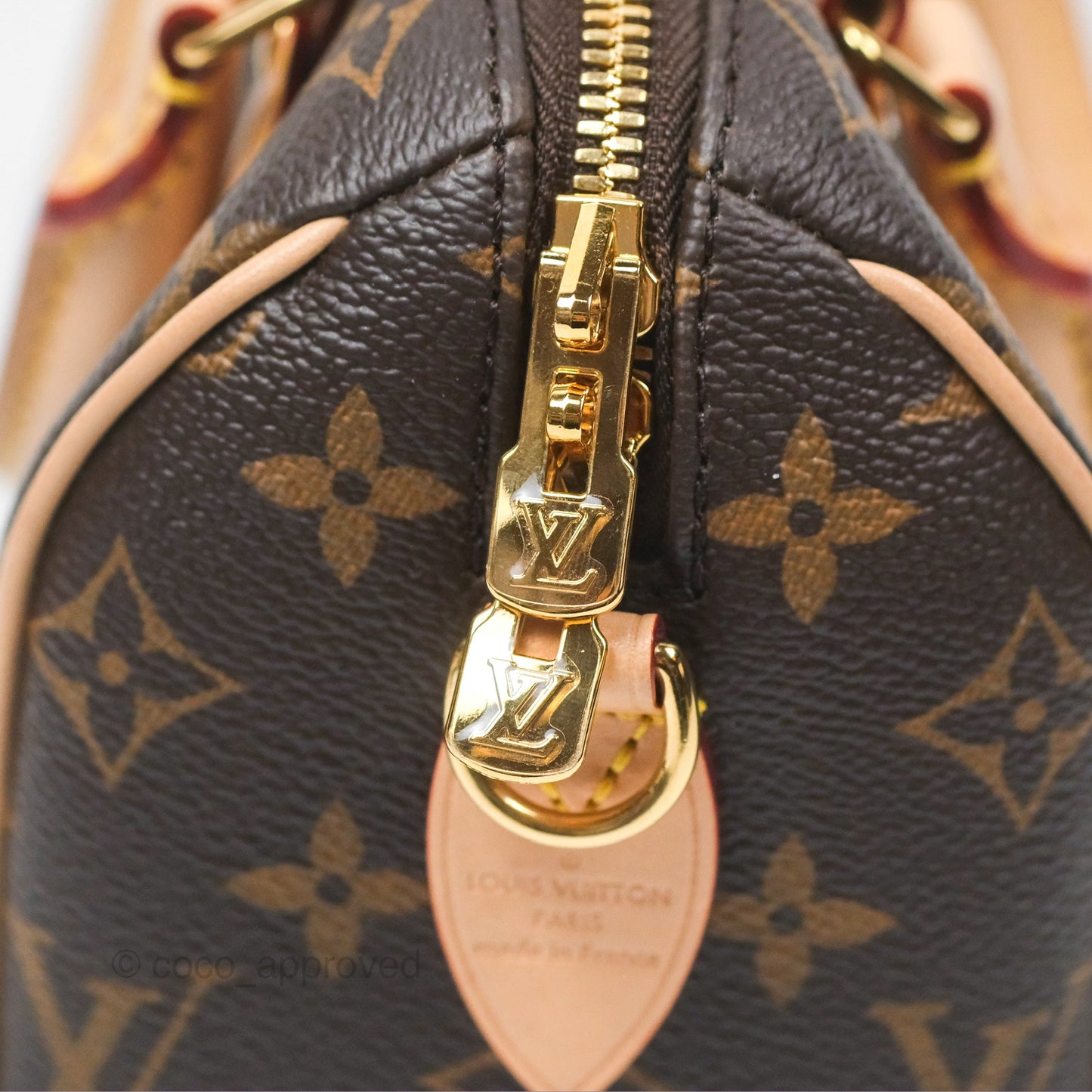 Louis Vuitton Speedy Bandoulière 20 Monogram