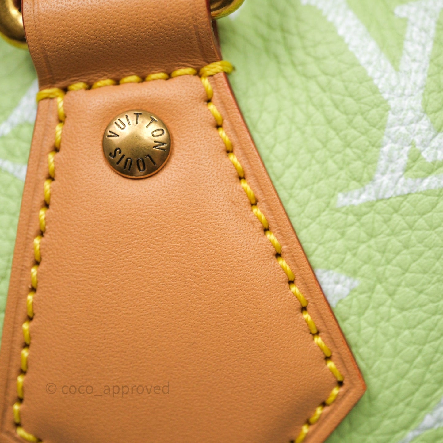 Louis Vuitton Speedy P9 Bandouliere 30 Vert Clair Bag
