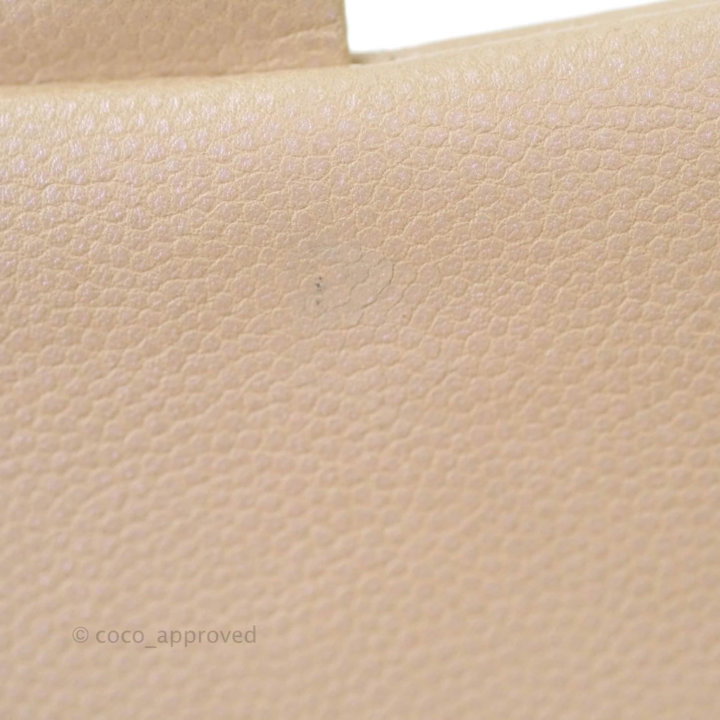 Chanel M/L Medium Double Flap Bag Iridescent Dark Beige Caviar Gold Hardware 21S