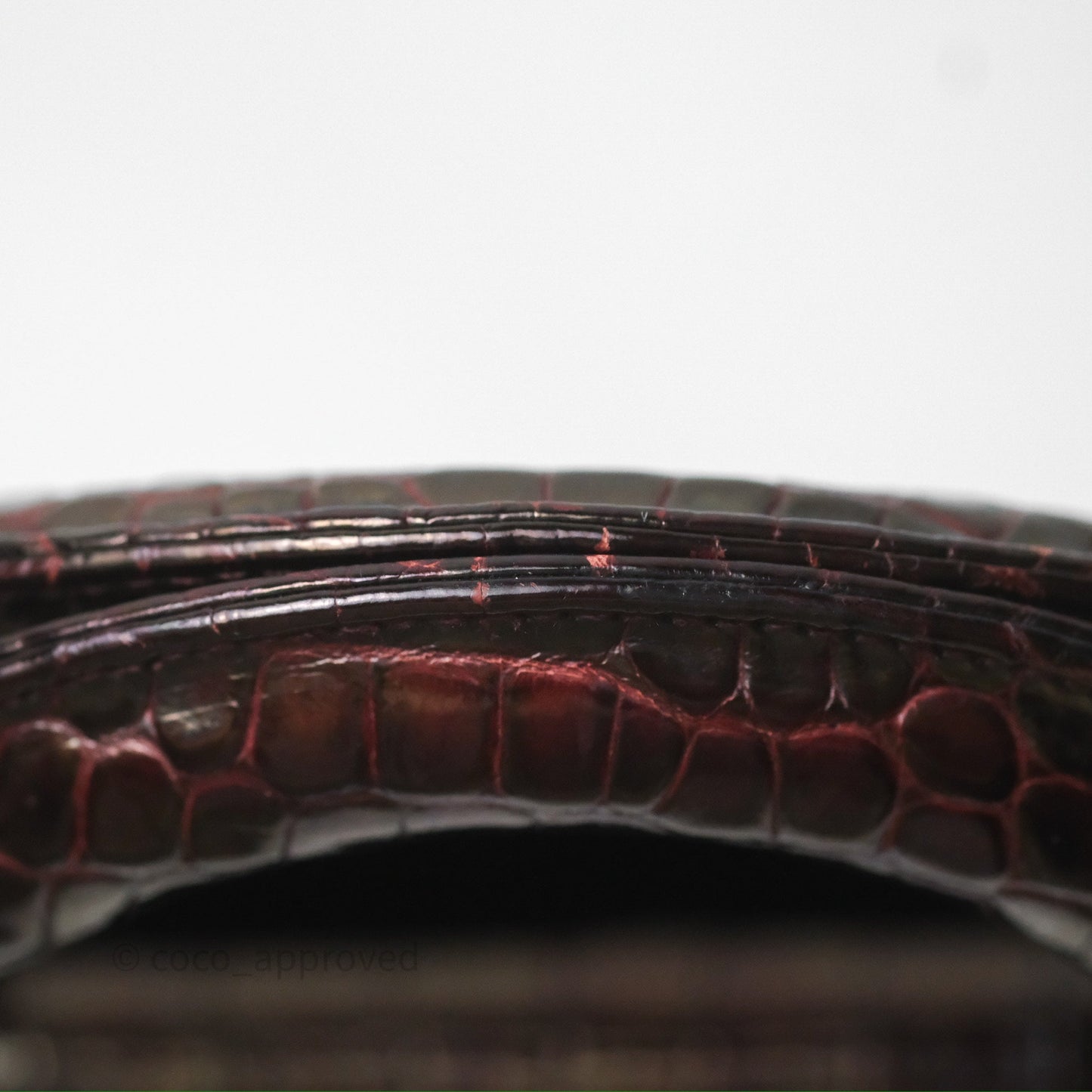 Christian Dior Small Lady Dior Shiny Crocodile Burgundy Diamond Hardware
