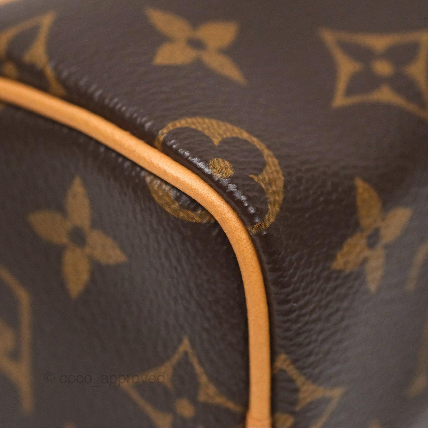 Louis Vuitton Nano Speedy Monogram