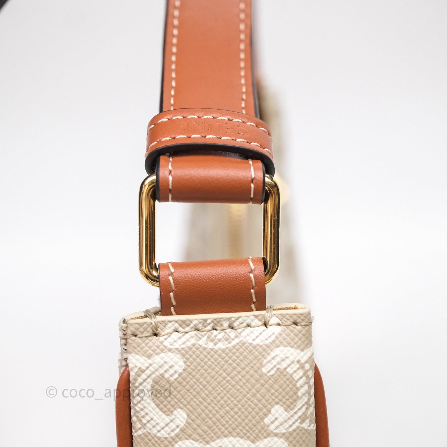 Celine Ava Bag In Triomphe Canvas Calfskin Grege