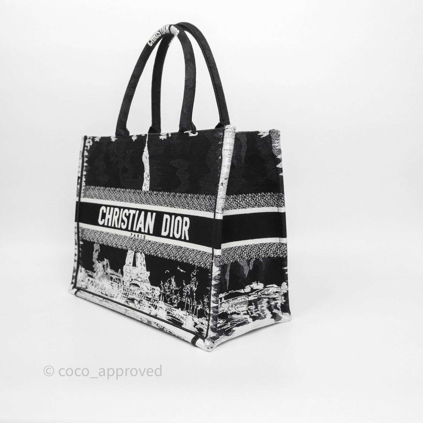 Dior Medium Book Tote Paris Embroidered Black White