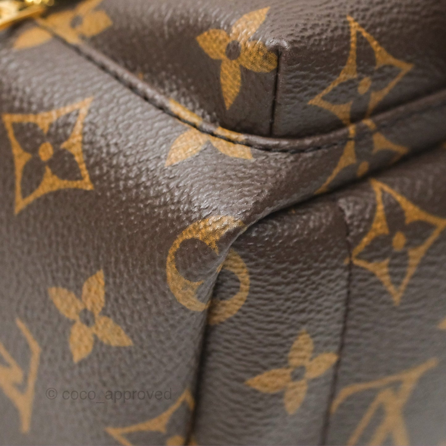 Louis Vuitton Mini Palm Springs Backpack⁣ Monogram Canvas