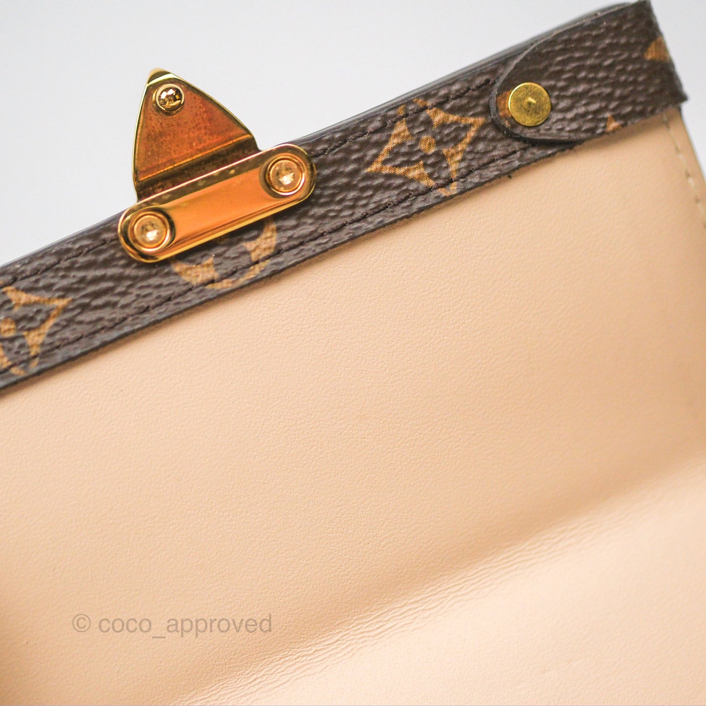 Louis Vuitton Reverse Monogram Pochette Vertical Trunk
