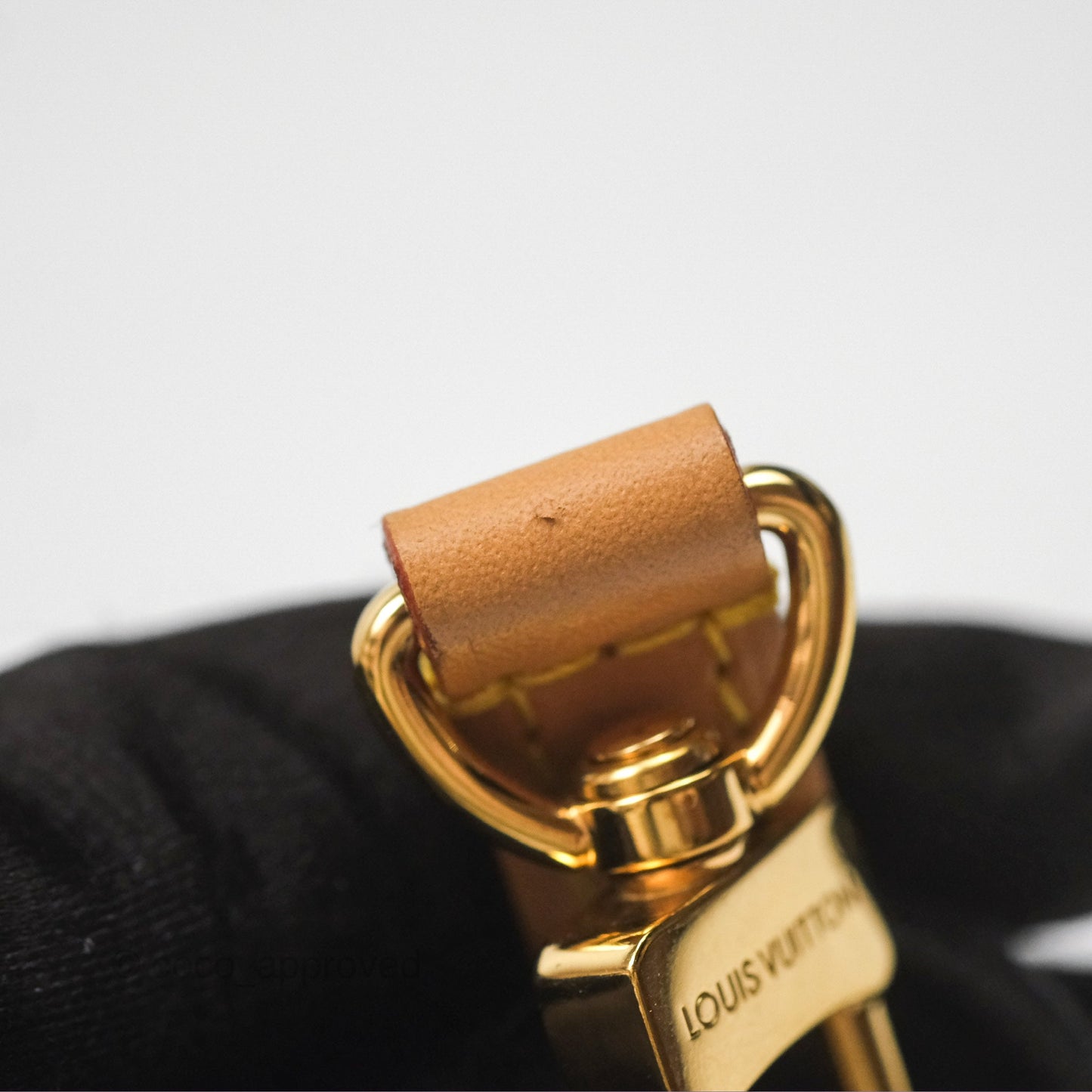 Louis Vuitton Nano Speedy Monogram