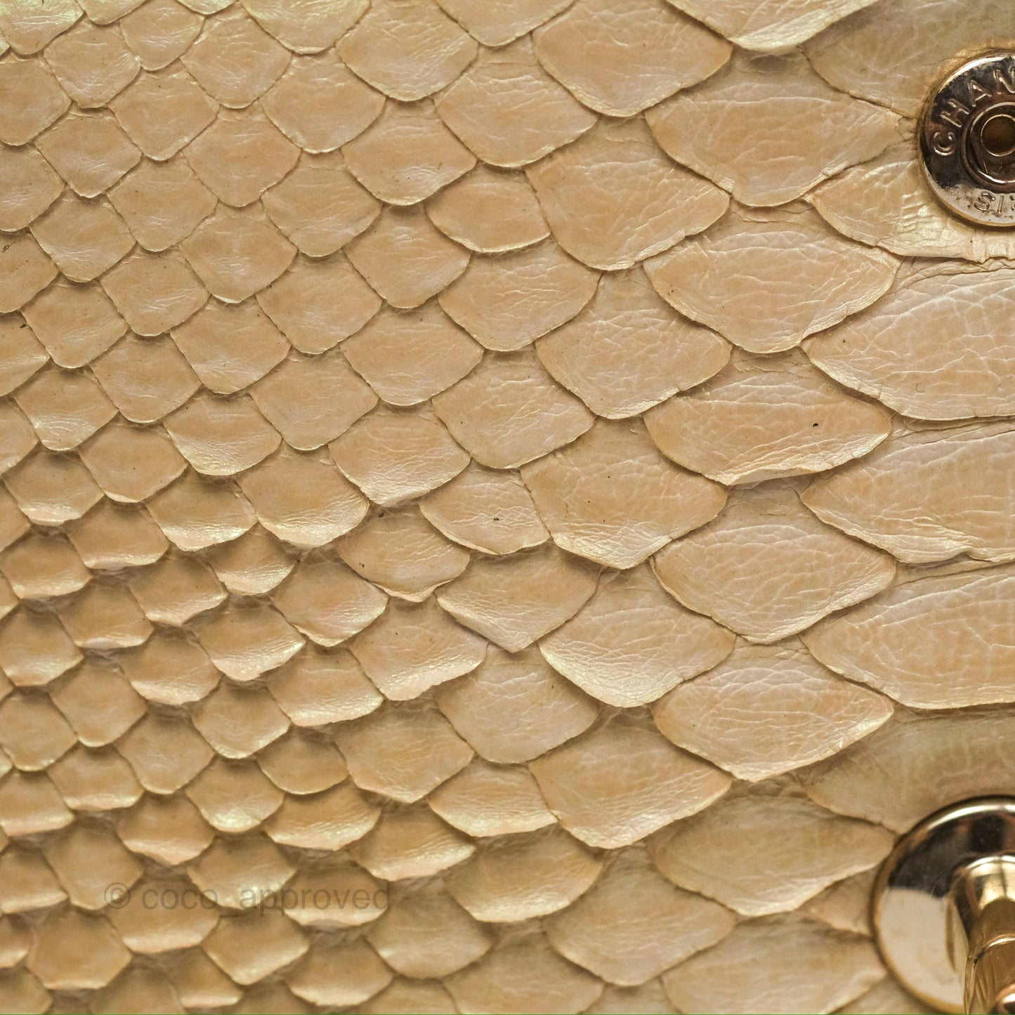 Chanel Jumbo Double Flap Iridescent Gold Python Gold Hardware⁣⁣