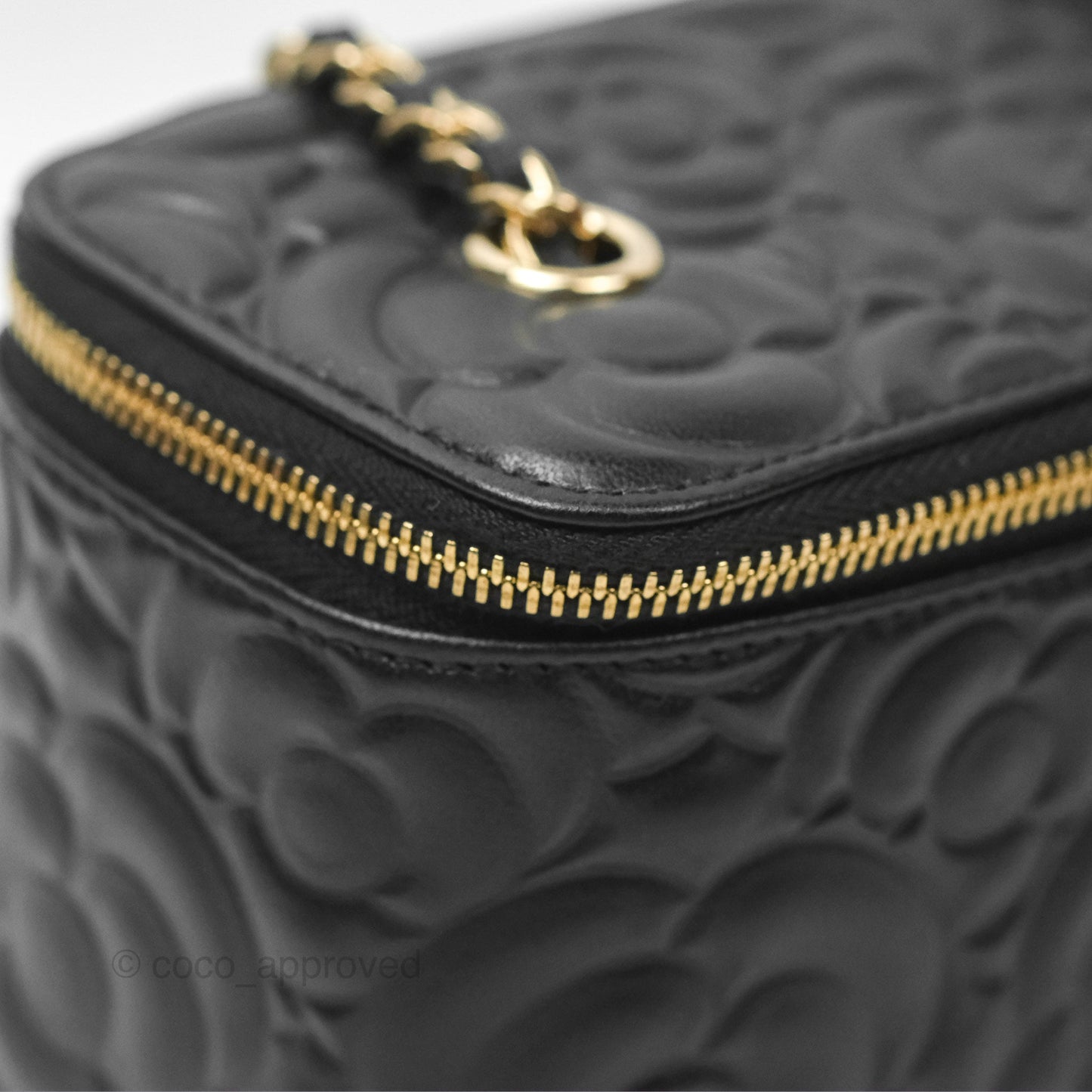 Chanel Vanity Rectangular Camellia Embossed Black Lambskin Gold Hardware 21S