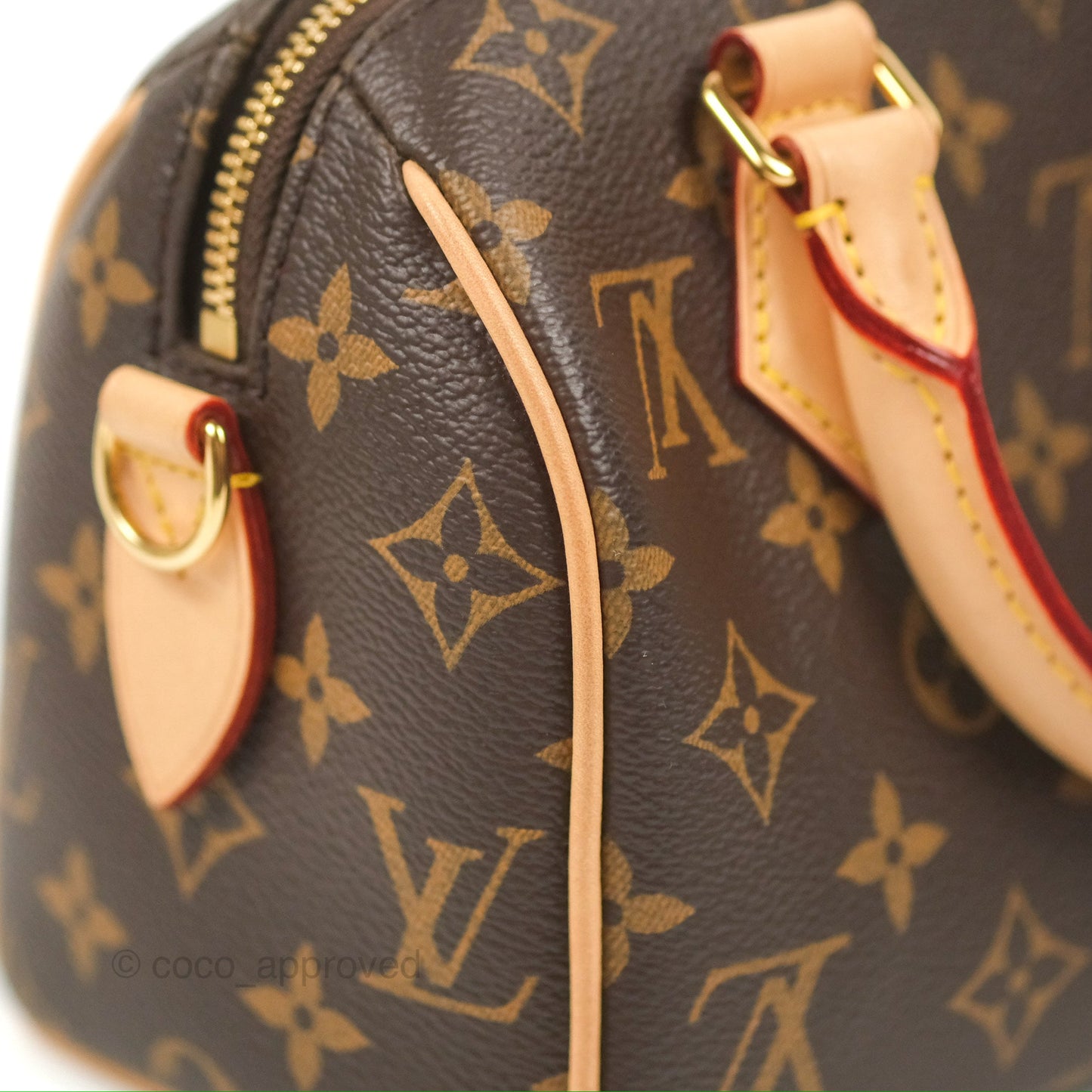 Louis Vuitton Speedy Bandoulière 20 Monogram