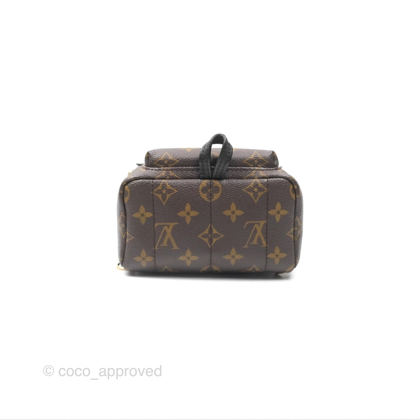 Louis Vuitton Mini Palm Springs Backpack⁣ Monogram