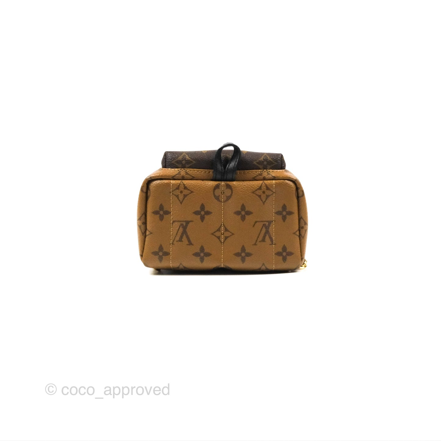 Louis Vuitton Reverse Mini Palm Springs Backpack⁣