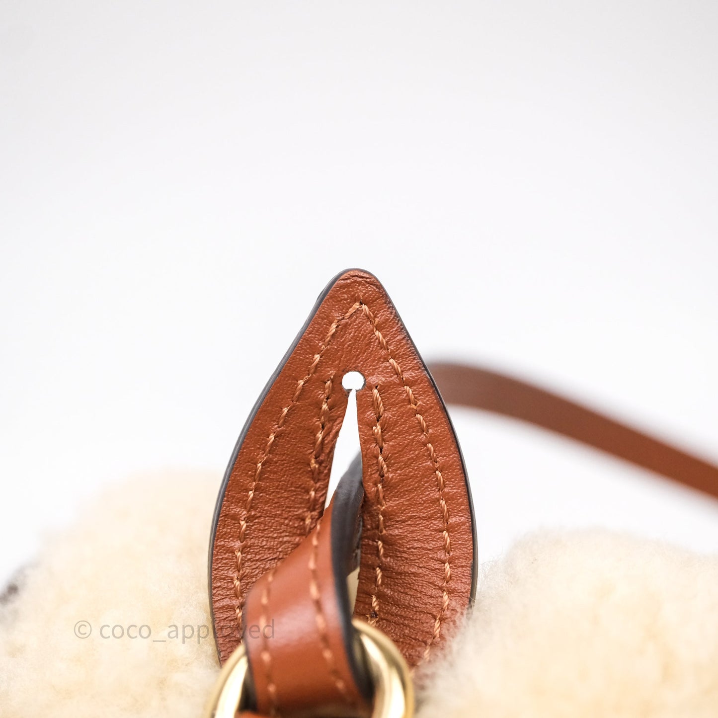 Louis Vuitton Teddy Beach Pouch Monogram