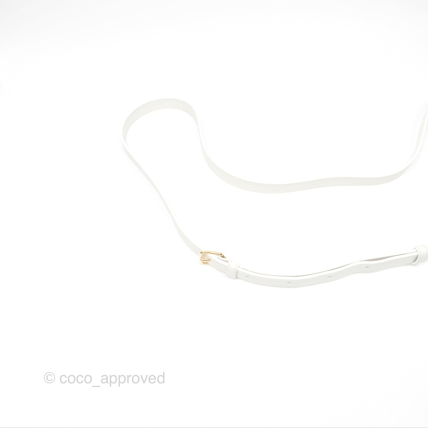 Celine Round Purse on Strap Triomphe Canvas White Calfskin
