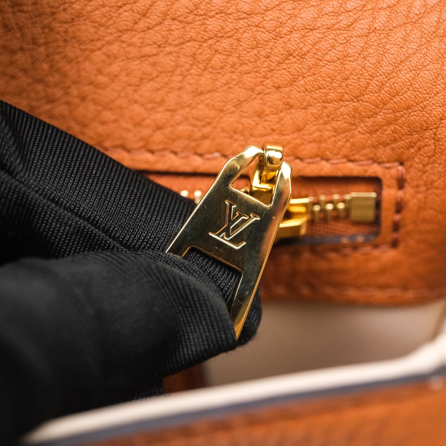 Louis Vuitton Pont 9 Soft PM Brown Grained Calfskin Gold Hardware