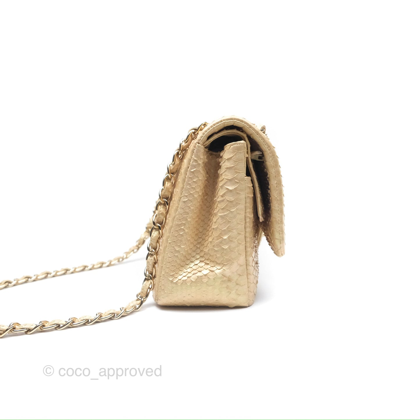 Chanel Jumbo Double Flap Iridescent Gold Python Gold Hardware⁣⁣