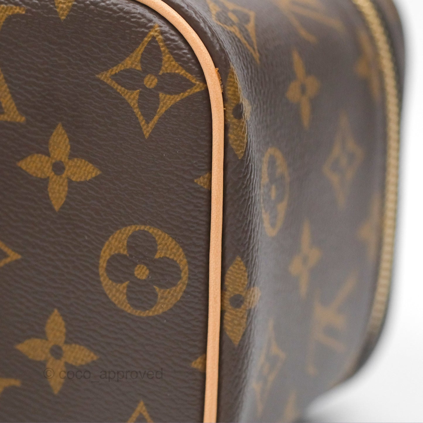Louis Vuitton Monogram Nice Mini