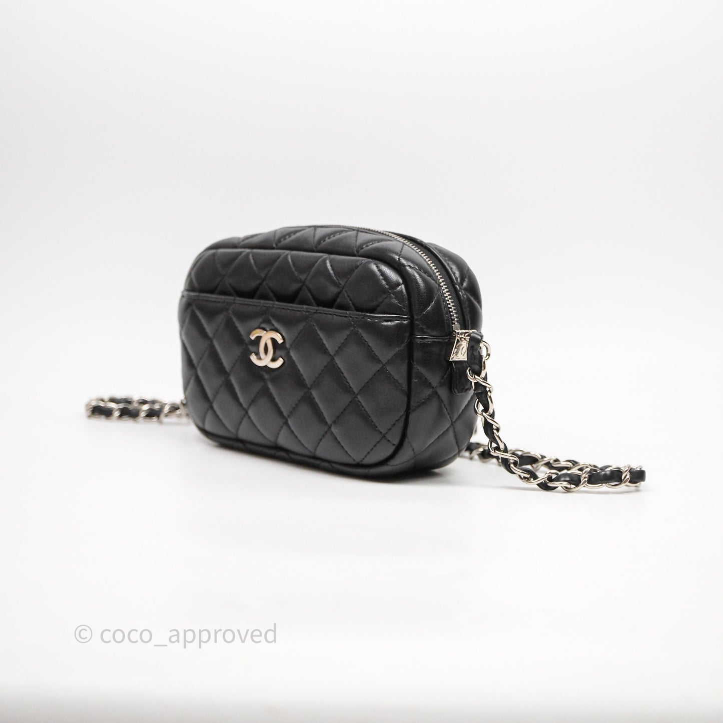 Chanel Camera Case Bag Lambskin Silver Hardware