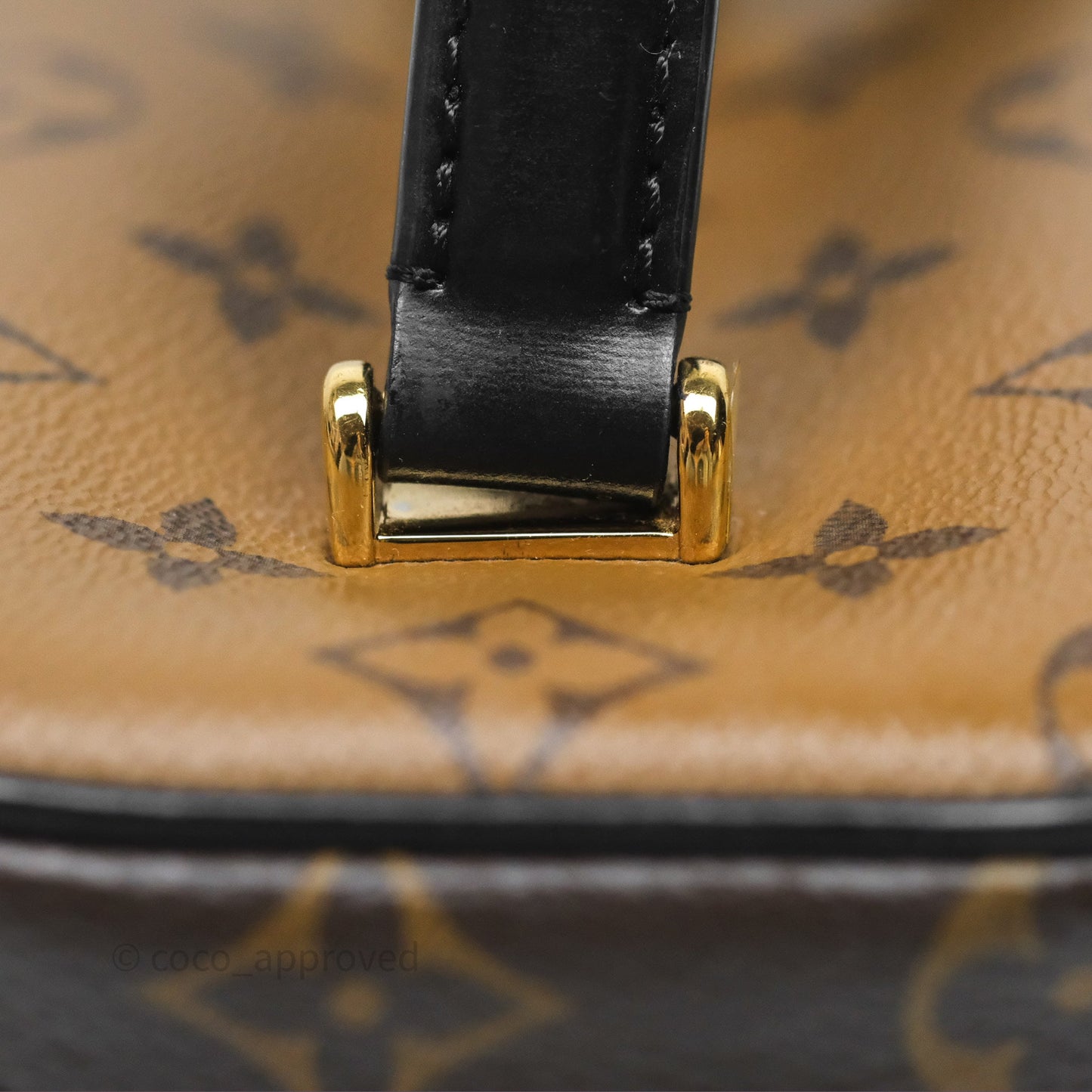 Louis Vuitton Reverse Monogram Vanity PM