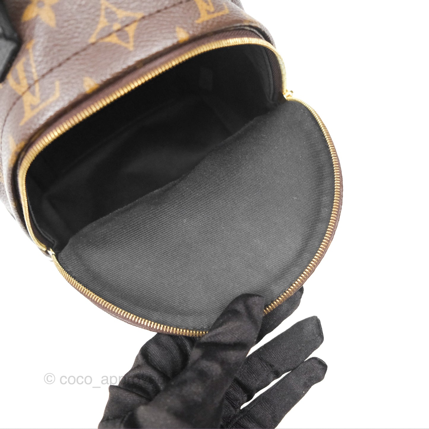 Louis Vuitton Mini Palm Springs Backpack⁣ Monogram