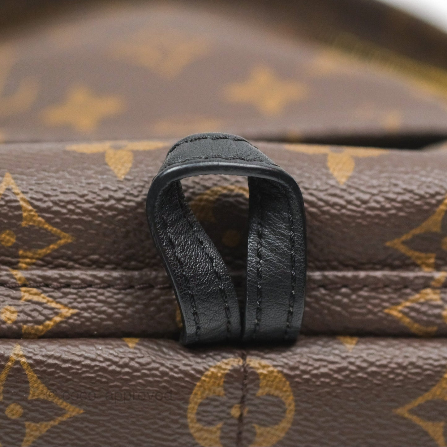 Louis Vuitton Mini Palm Springs Backpack⁣ Monogram