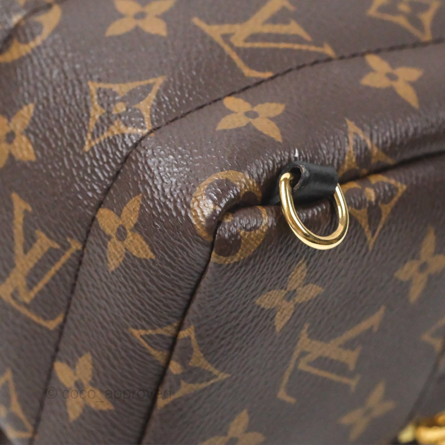 Louis Vuitton Monogram Mini Palm Springs Backpack⁣