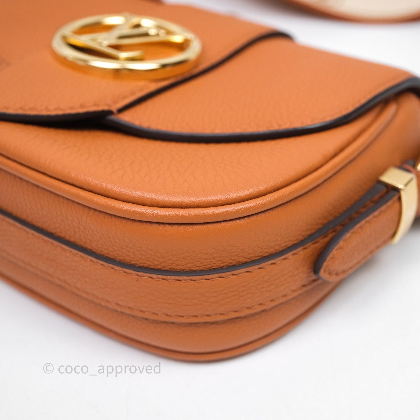 Louis Vuitton Pont 9 Soft PM Brown Grained Calfskin Gold Hardware