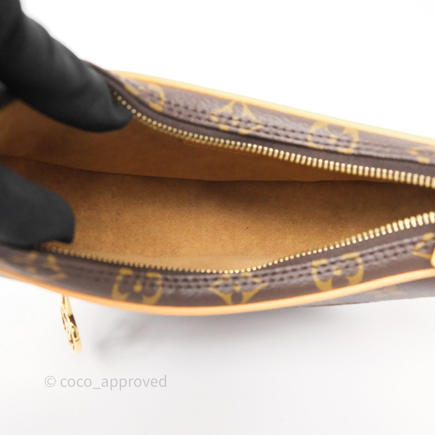 Louis Vuitton Loop Monogram Canvas