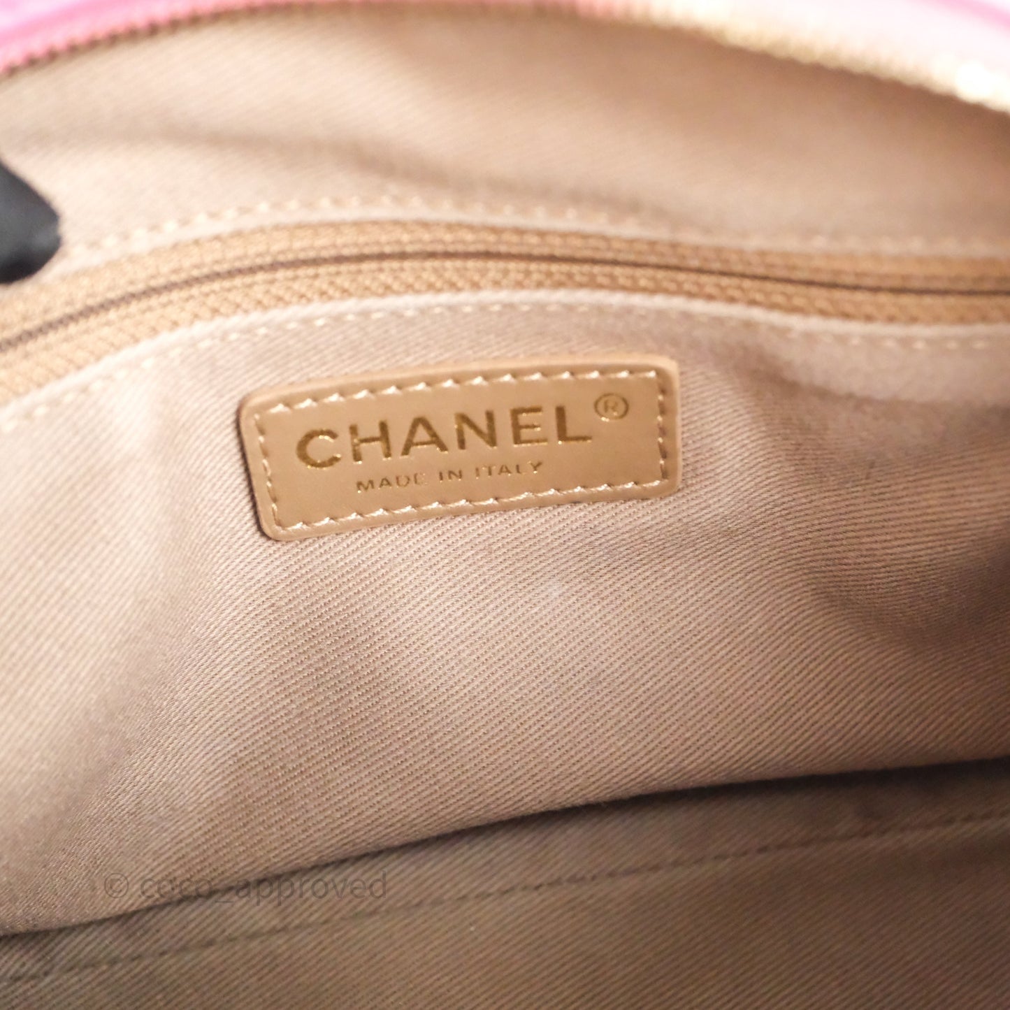 Chanel Camera Bag Pink Calfskin Aged Gold Hardware