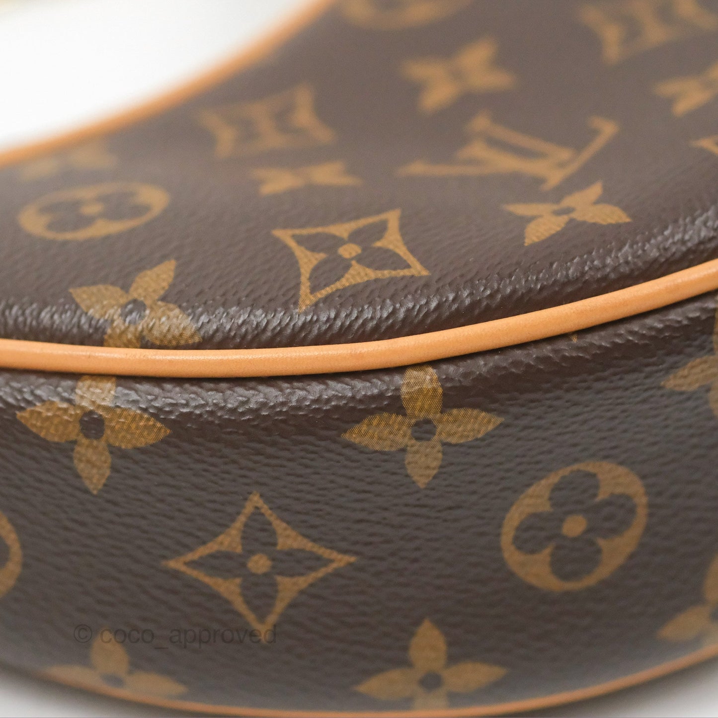 Louis Vuitton Loop Monogram Canvas