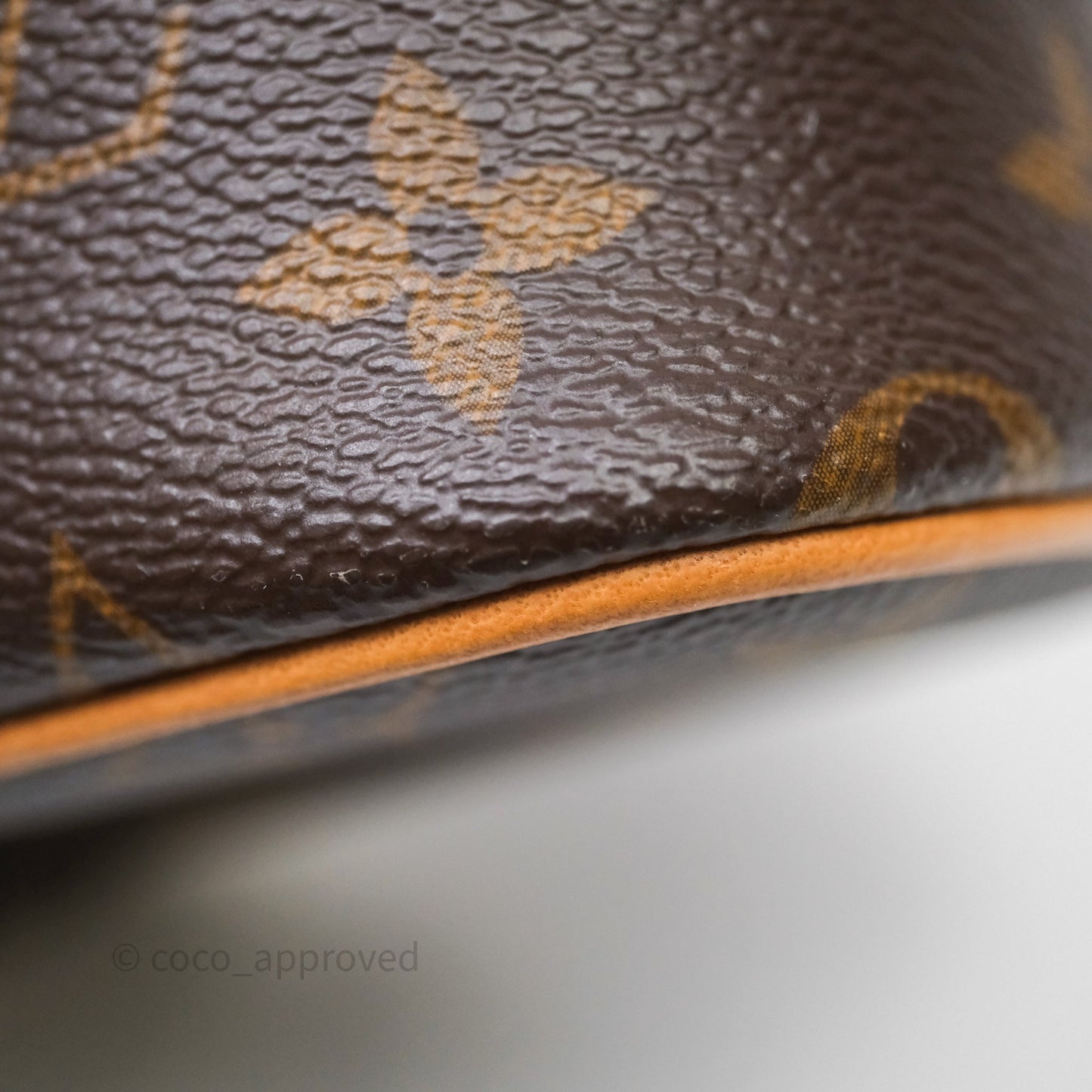 Louis Vuitton Nice Nano Monogram Canvas