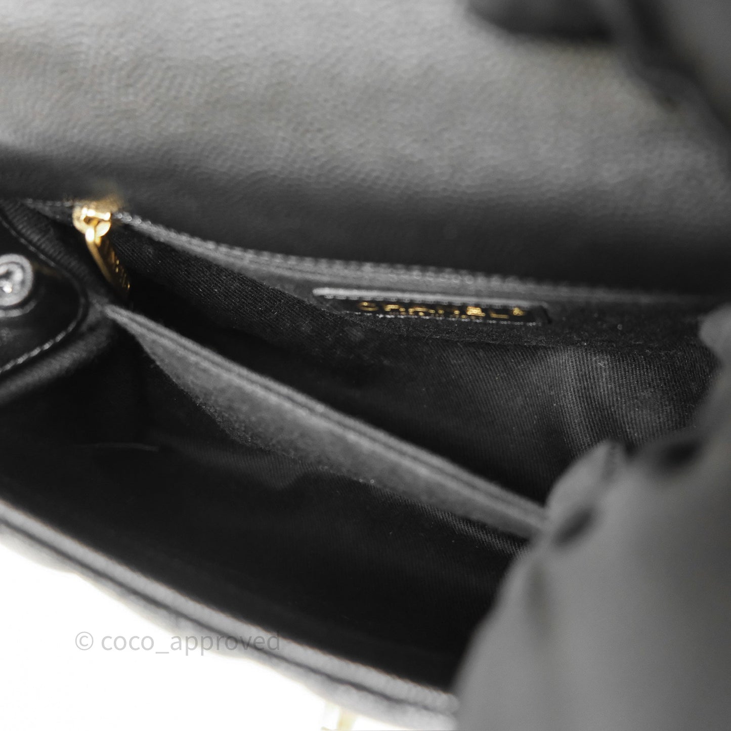 Chanel Small Coco Handle Quilted Black Caviar Aged Gold Hardware Lizard Handle