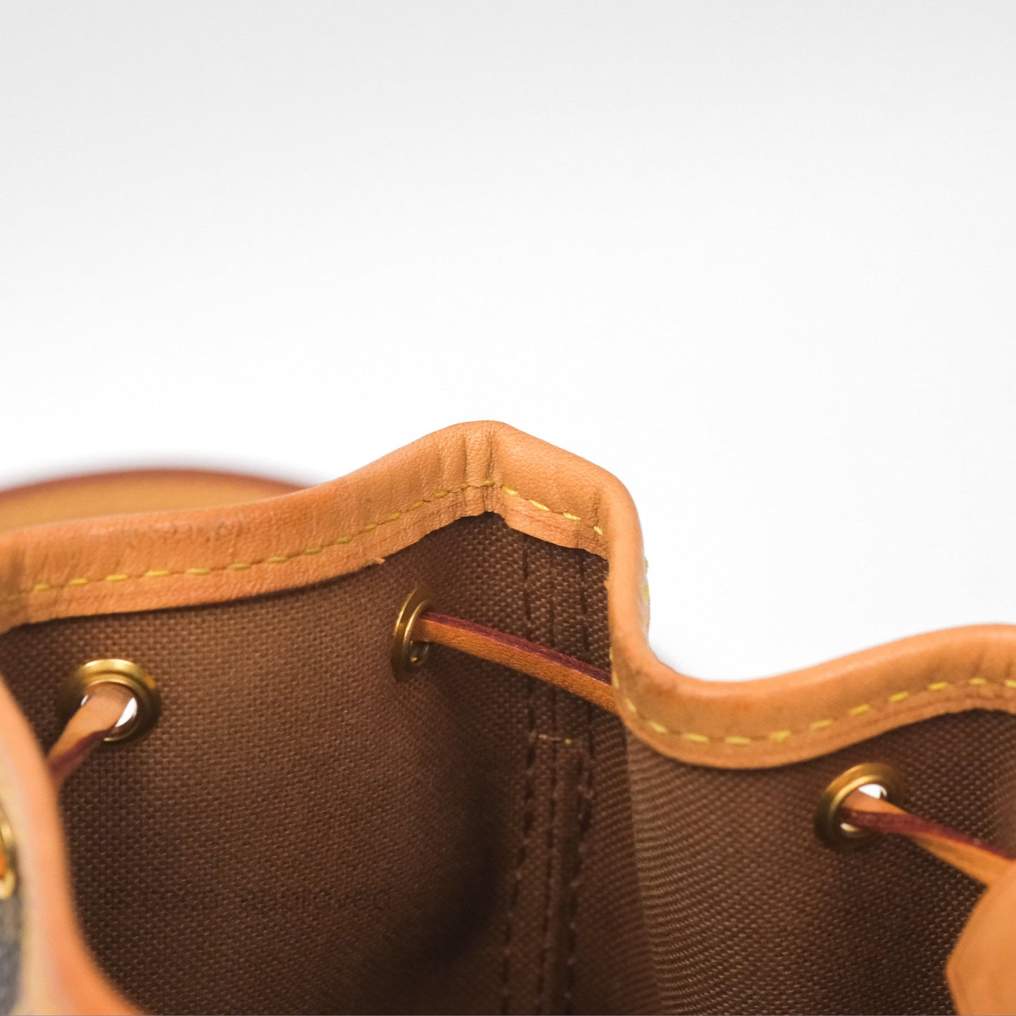Louis Vuitton Nano Noe Monogram Canvas