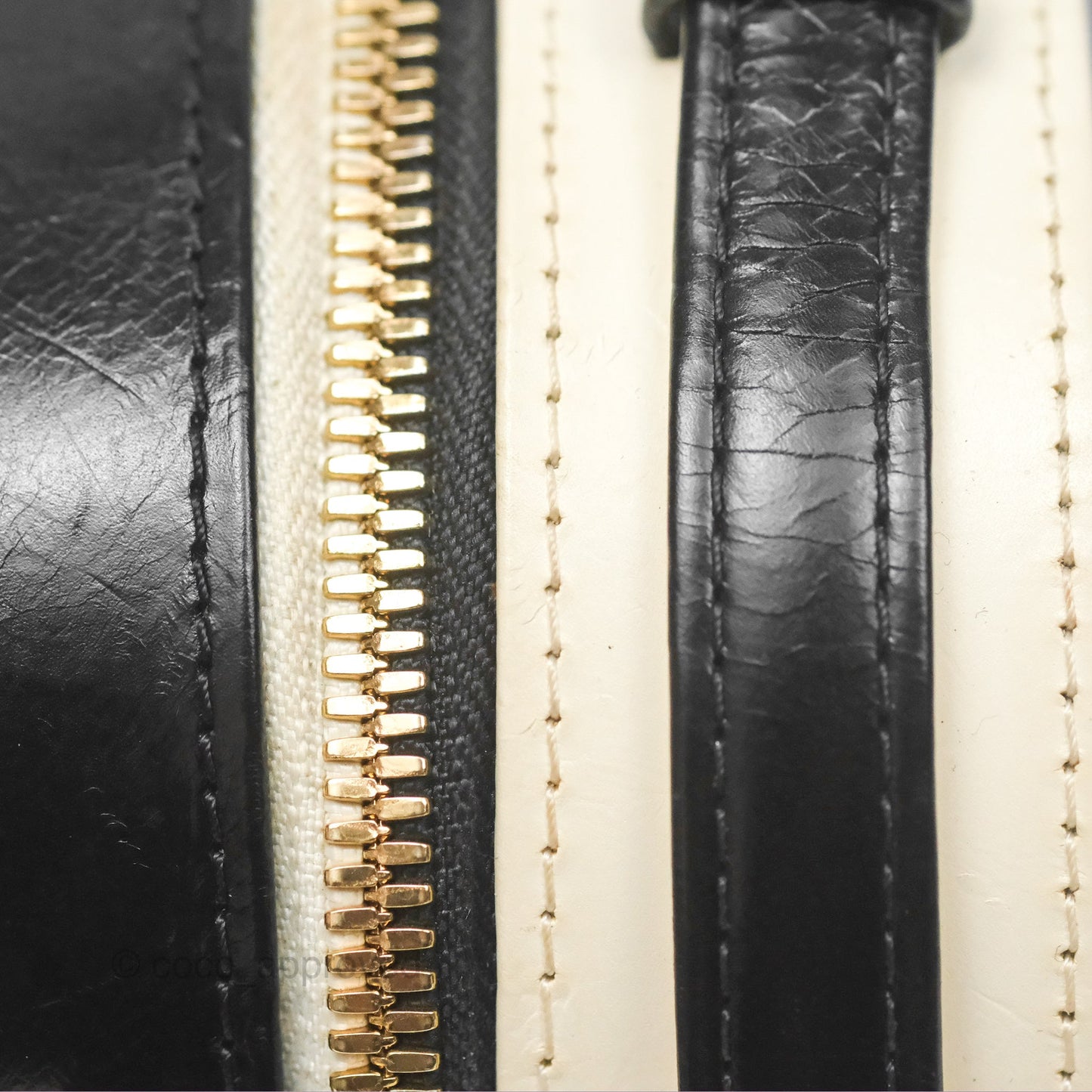 Chanel Camera Case Bag Black/White Calfskin Gold Hardware