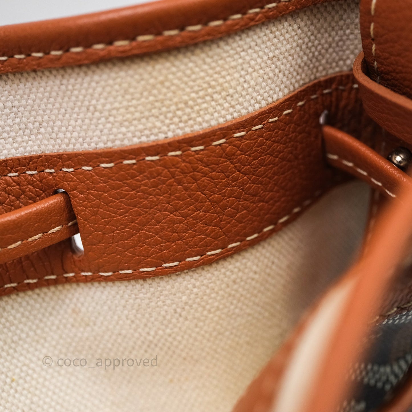 Goyard Petit Flot Bucket Bag Black & Tan Goyardine