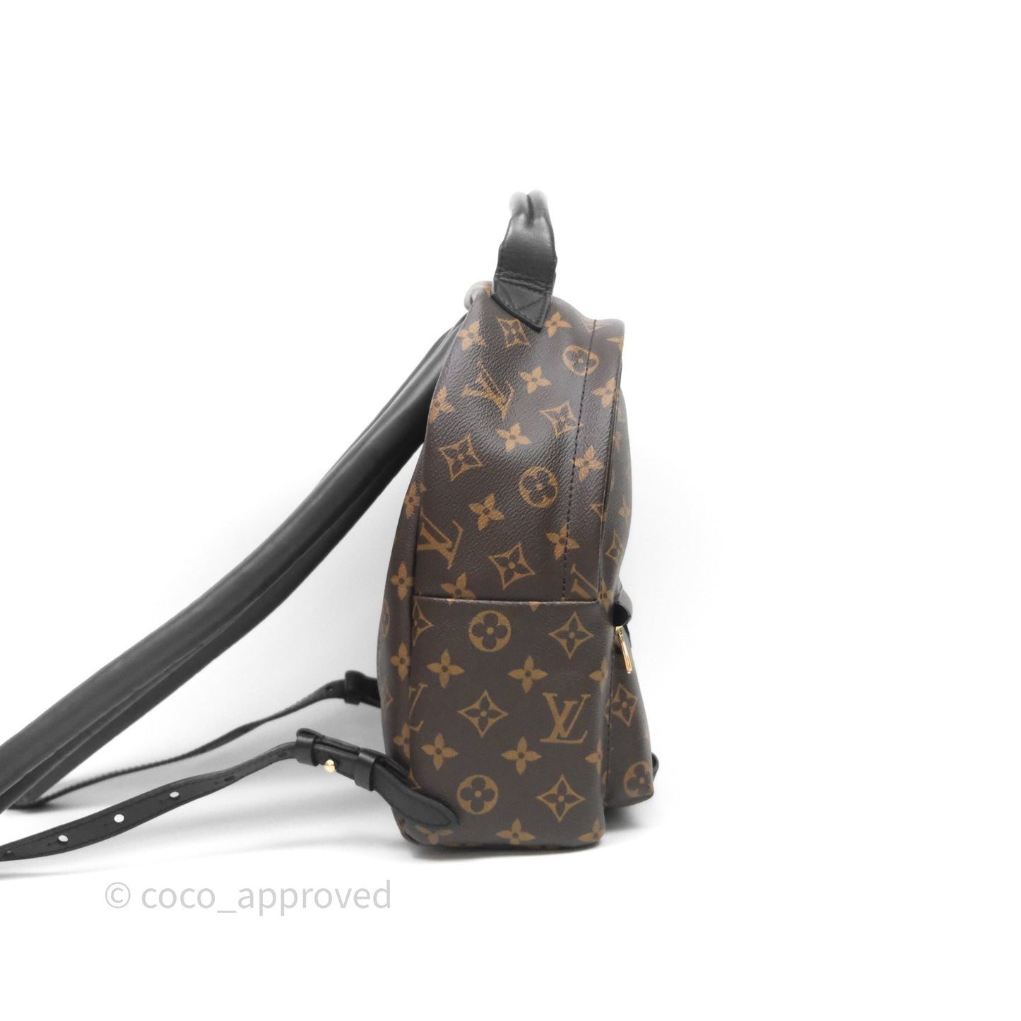 Louis Vuitton Palm Springs Backpack⁣ Monogram PM