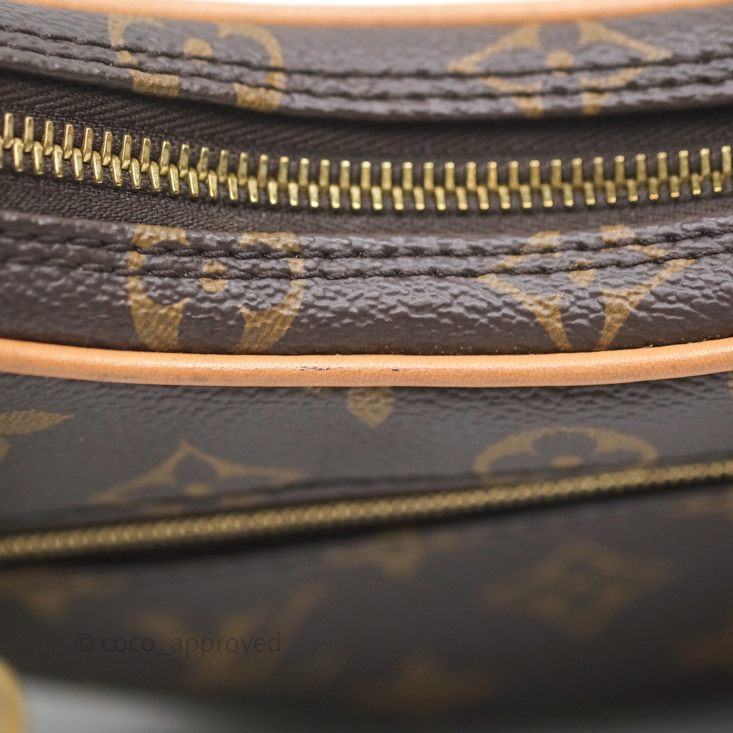 Louis Vuitton Loop Monogram Canvas