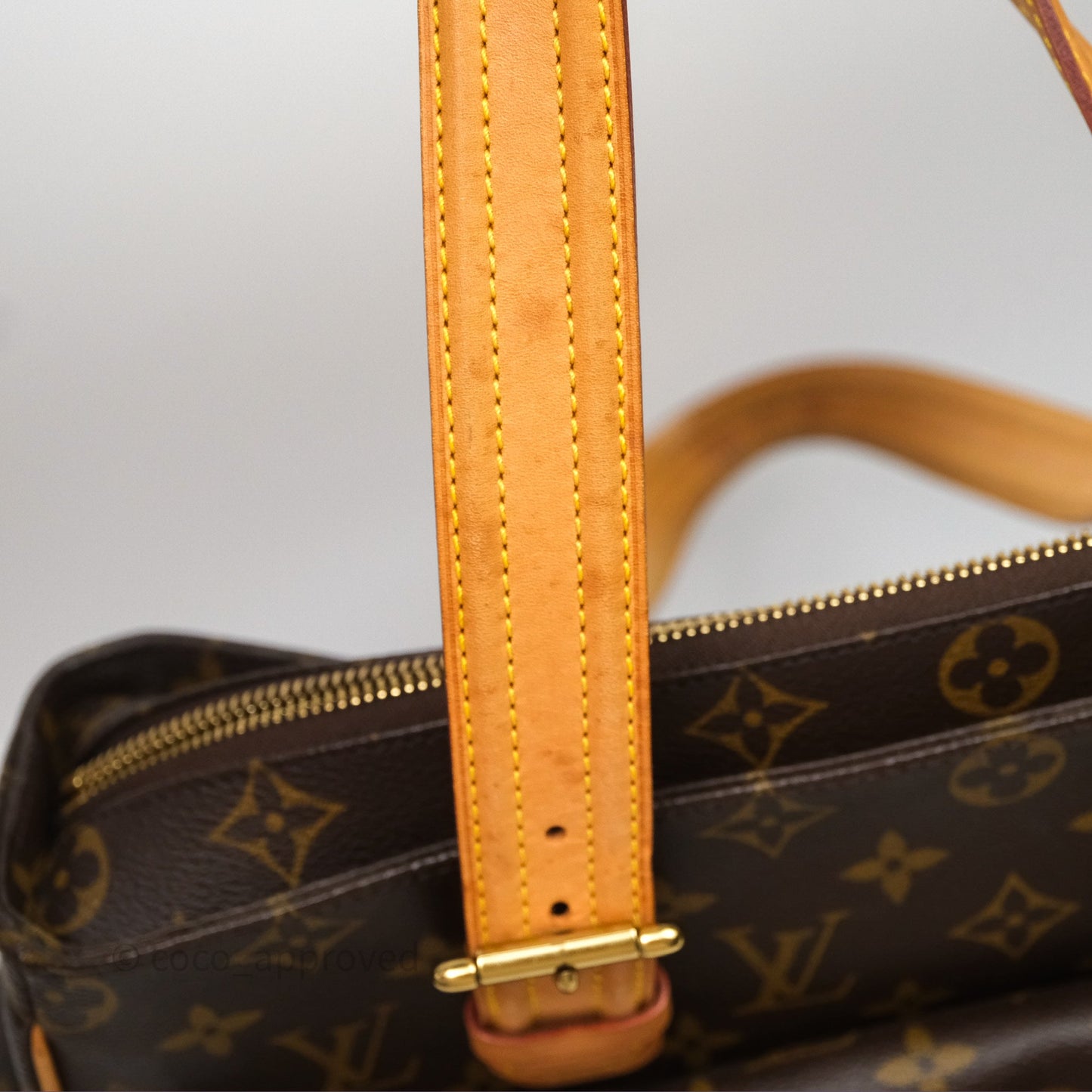 Louis Vuitton Multipli-Cite Tote Monogram Canvas