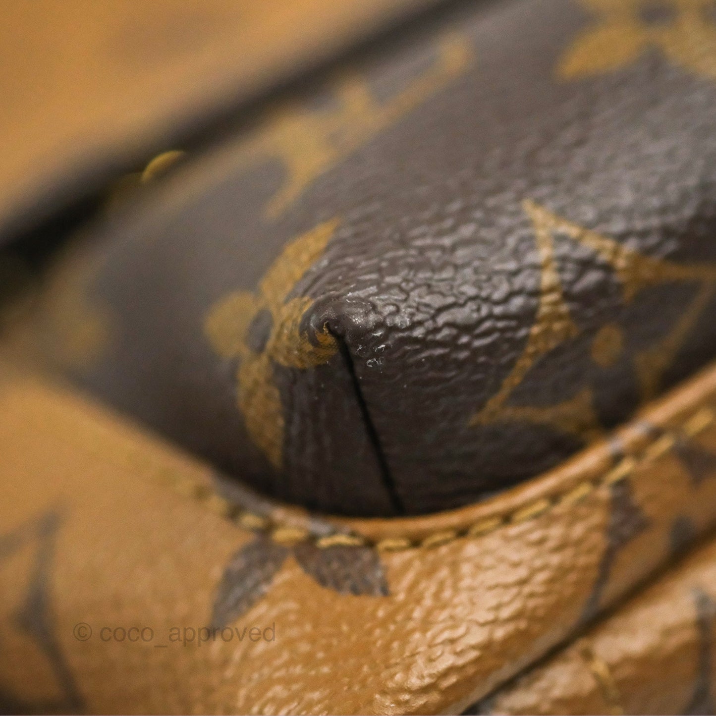Louis Vuitton Reverse Mini Palm Springs Backpack⁣