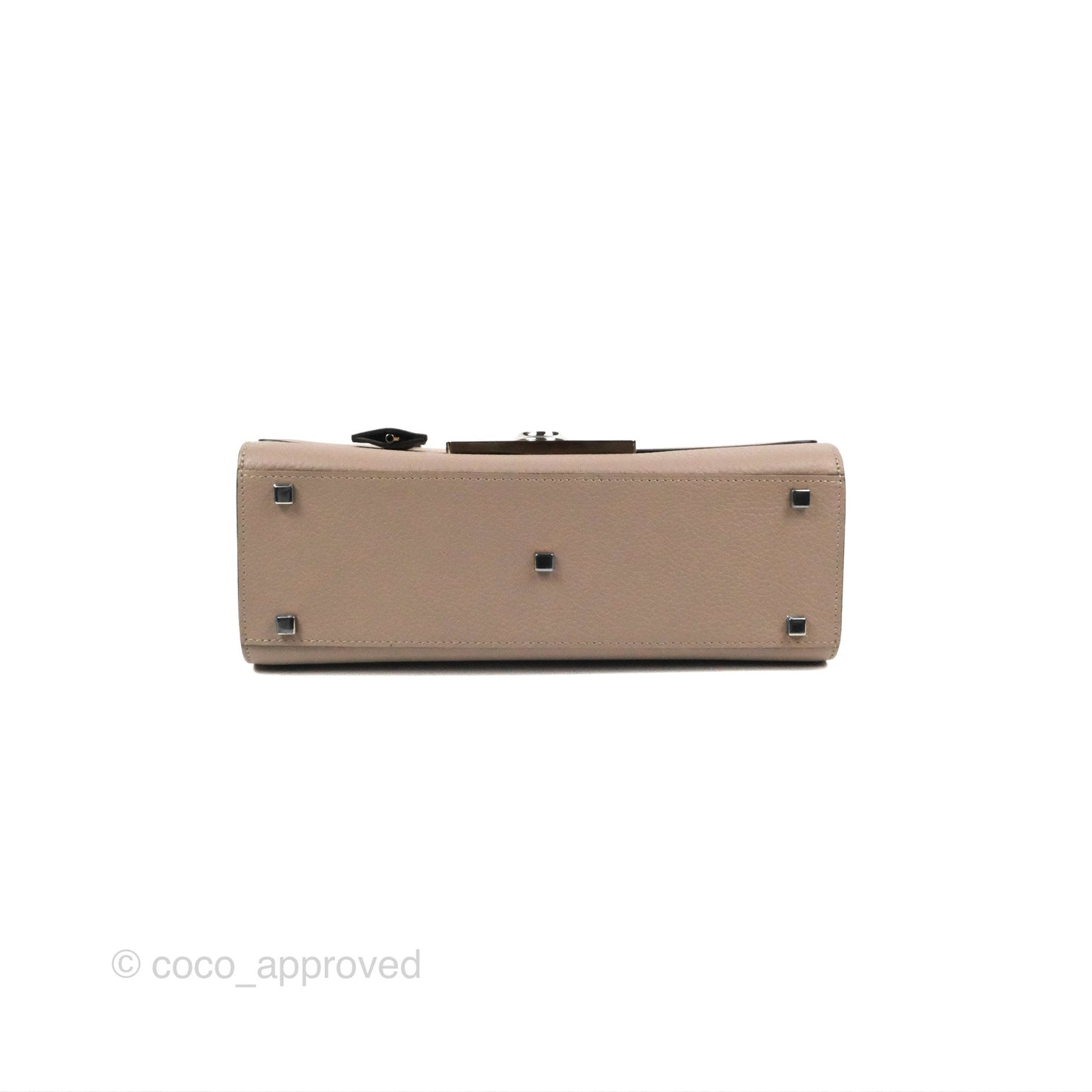 Moynat Réjane PM bag Tourterelle Grained Blush Leather Silver Hardware