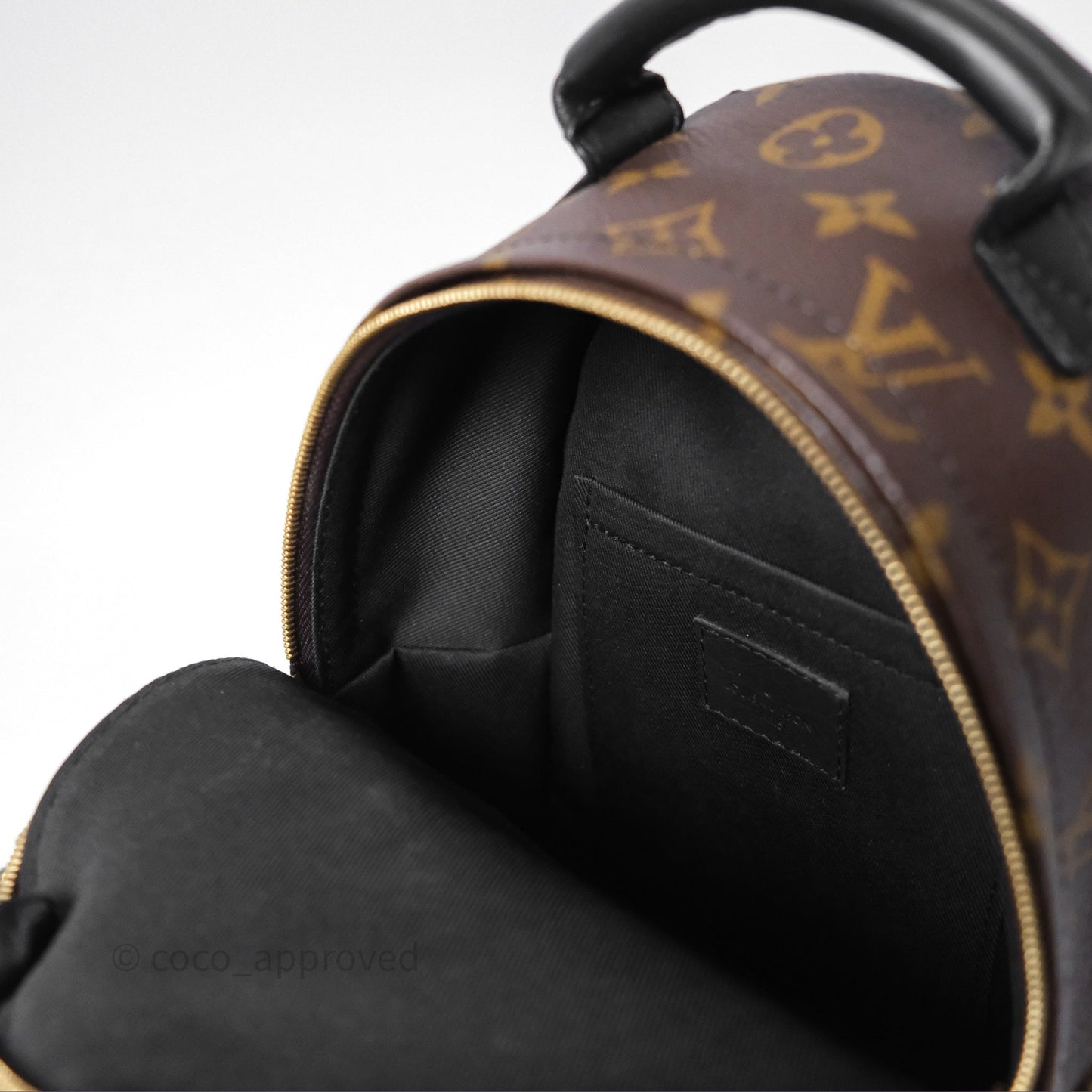 Louis Vuitton Mini Palm Springs Backpack⁣ Monogram