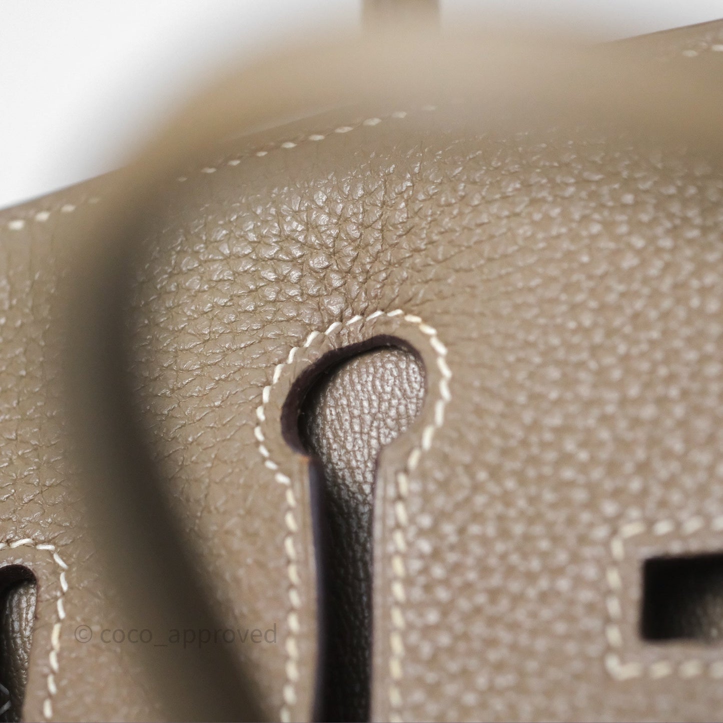 Hermes Birkin 25 Retourne Etoupe 18 Clemence Palladium Hardware