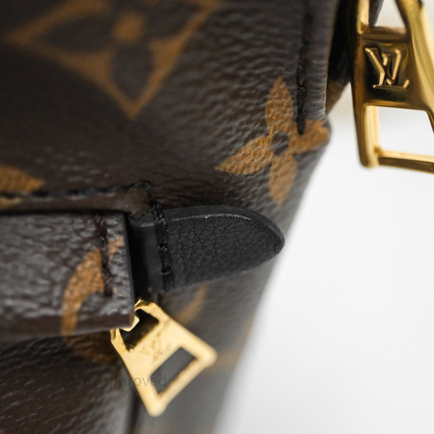 Louis Vuitton Palm Springs Backpack⁣ Monogram PM