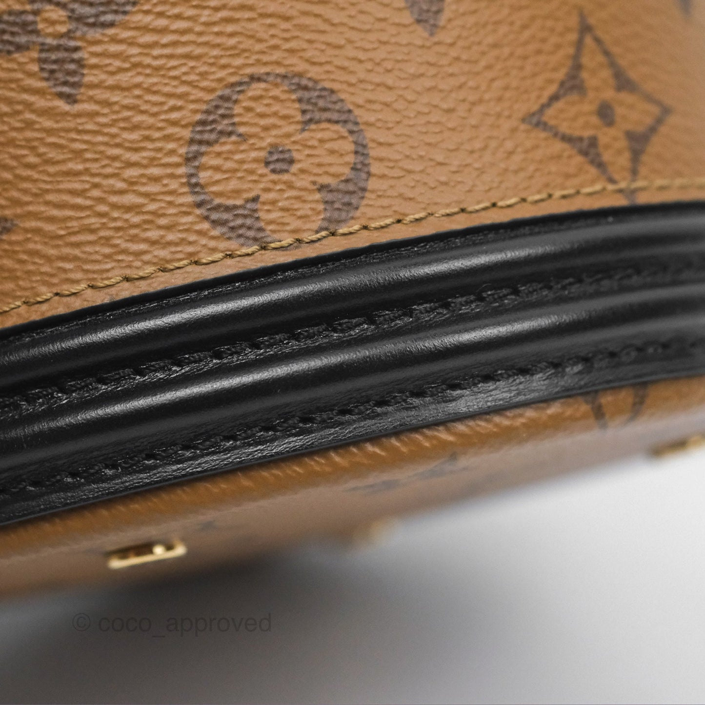 Louis Vuitton Monogram Canvas Reverse Cannes Bag