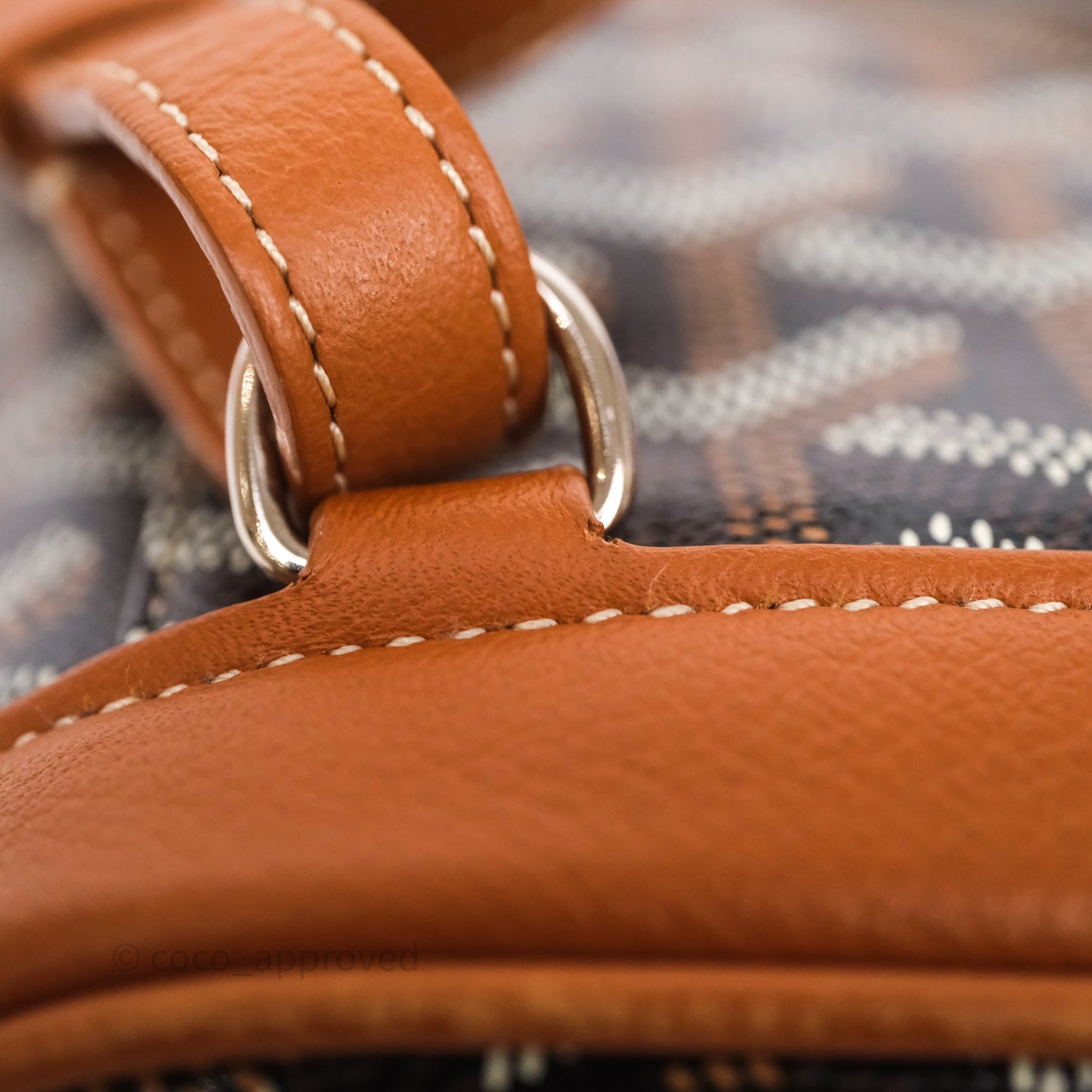 Goyard Mini Alpin Backpack Black/ Tan  Goyardine Calfskin