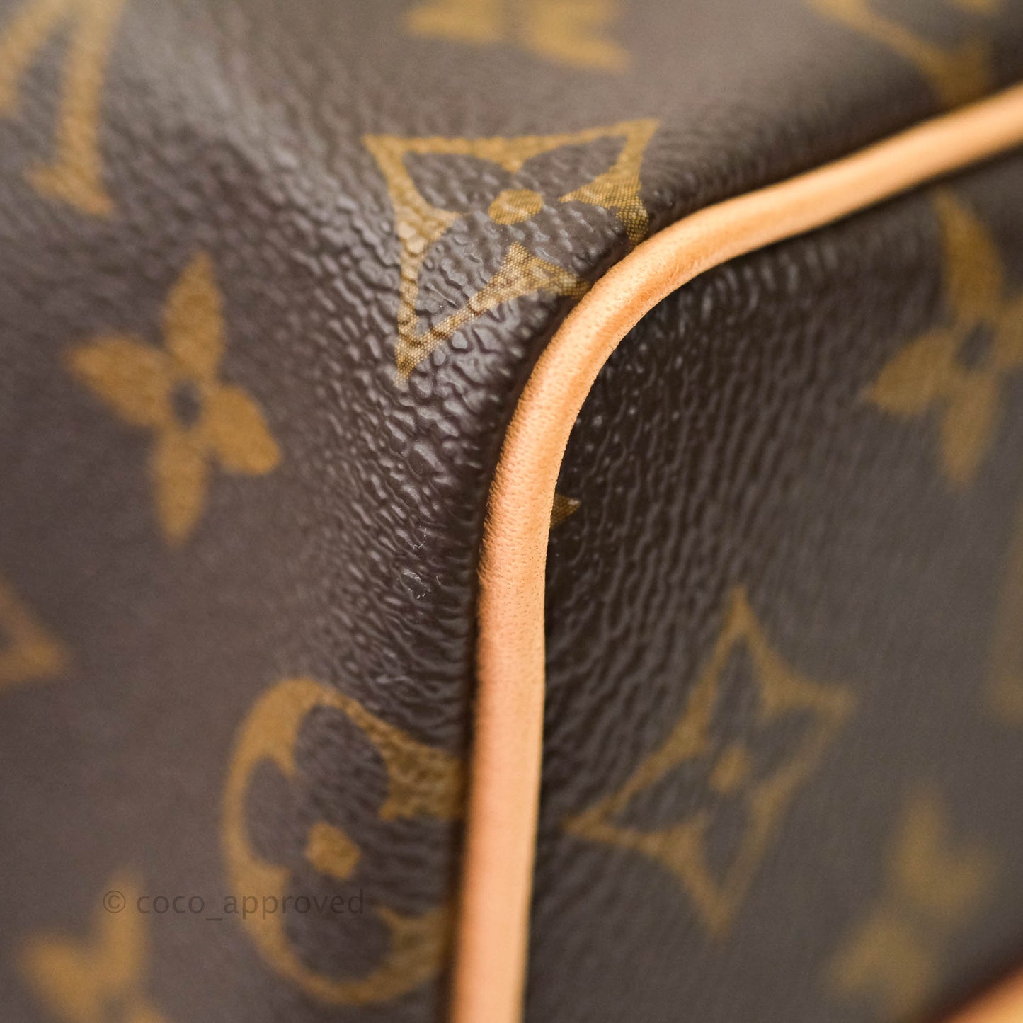 Louis Vuitton Monogram Canvas Speedy 25