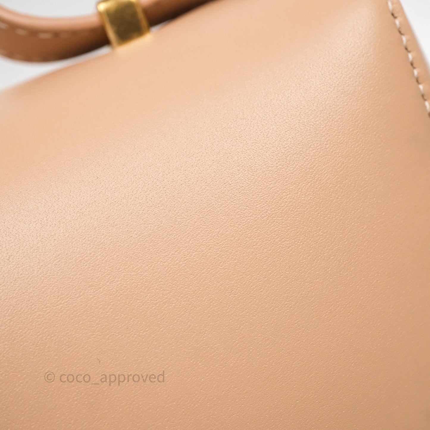 Loro Piana Extra Bag L27 Dark Pink Gold Hardware