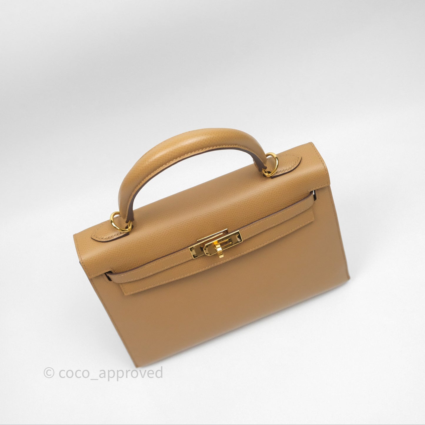 Hermès Sellier Kelly 25 Chai 0M Epsom Gold Hardware