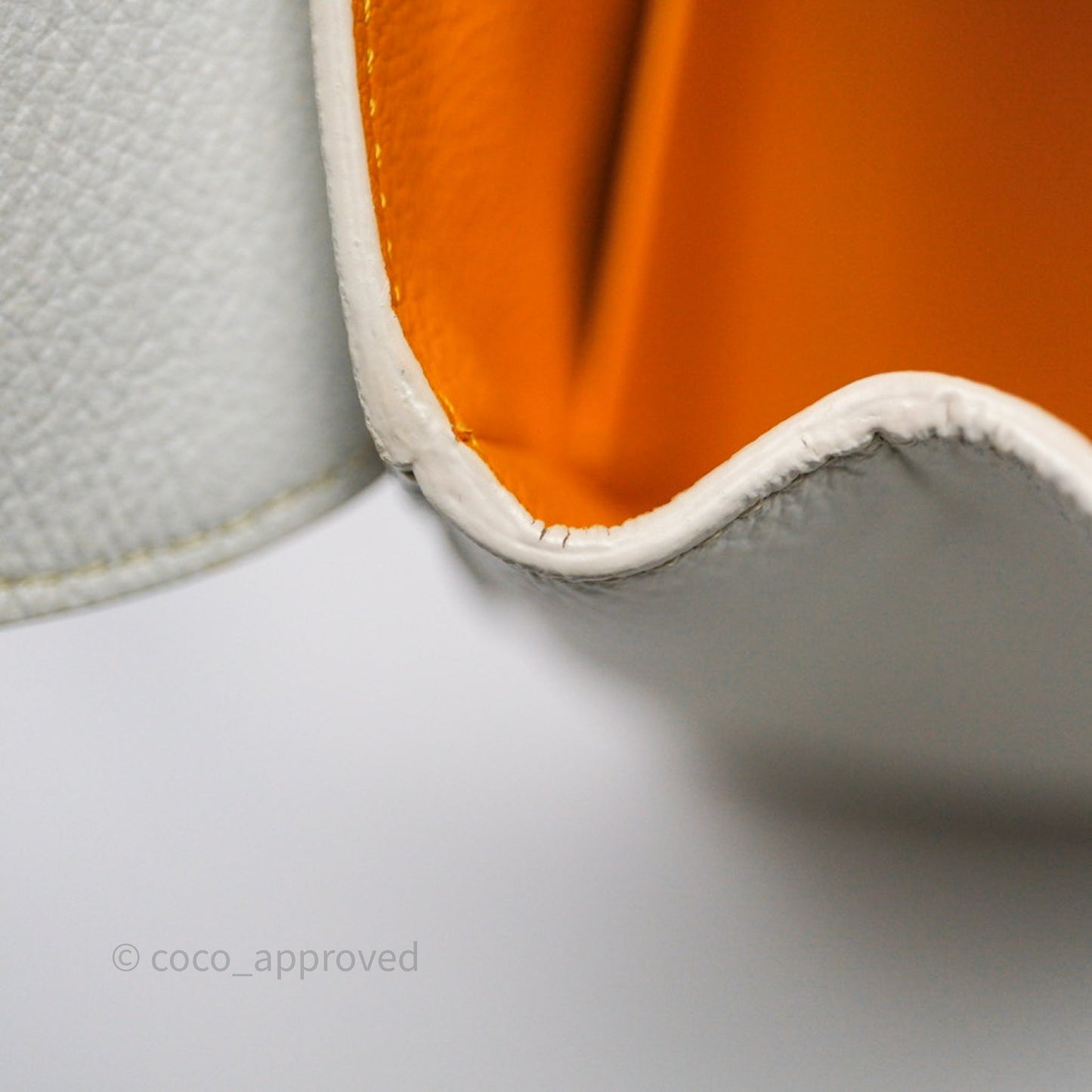 Goyard Saïgon Mini Bag Chevroches Calfskin White Silver Hardware