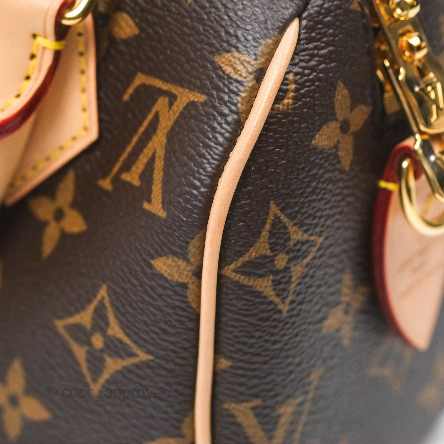 Louis Vuitton Speedy Bandoulière 20 Monogram
